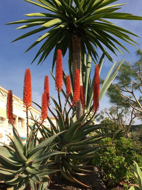 Residentie Montesol Daire Torrox Dış mekan fotoğraf